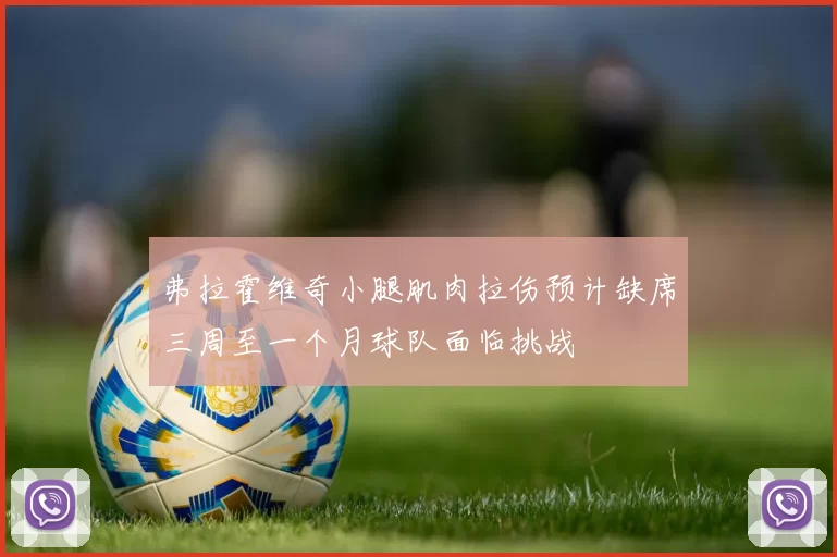 弗拉霍维奇小腿肌肉拉伤预计缺席三周至一个月球队面临挑战