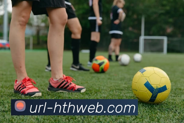 华体会发展历程