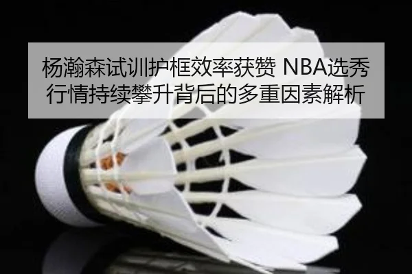杨瀚森试训护框效率获赞 NBA选秀行情持续攀升背后的多重因素解析